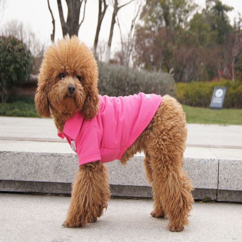 2025 Dog Polo Shirt Multicolor Soft