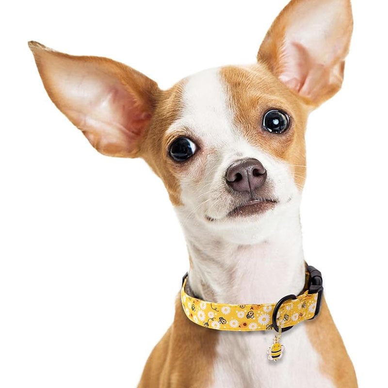 Bee Print Adjustable Dog Collar