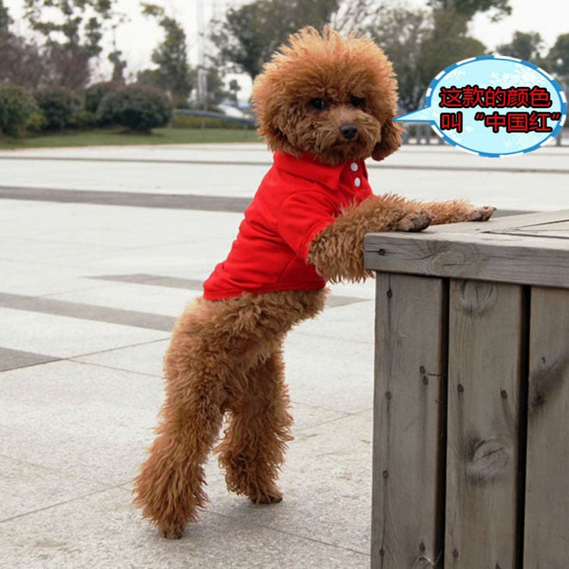 2025 Dog Polo Shirt Multicolor Soft