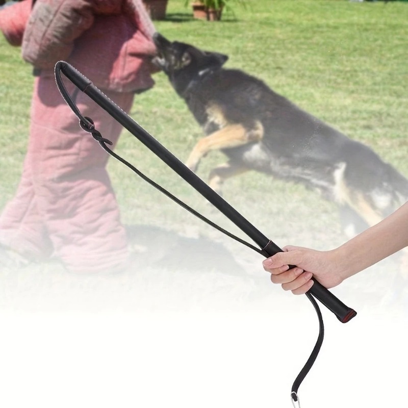 Dog Training Agitation Whip