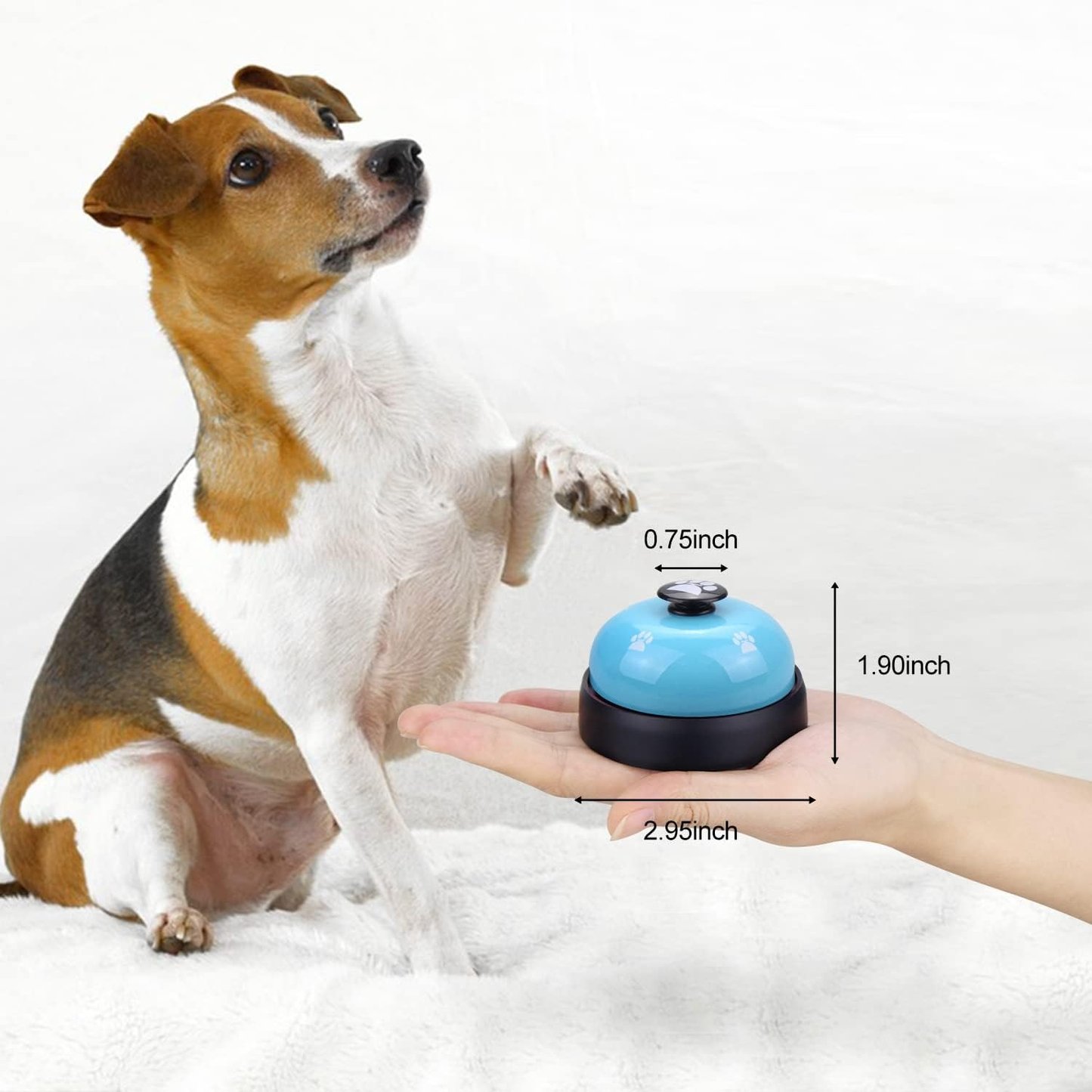 Pet Voice Recording Training Button