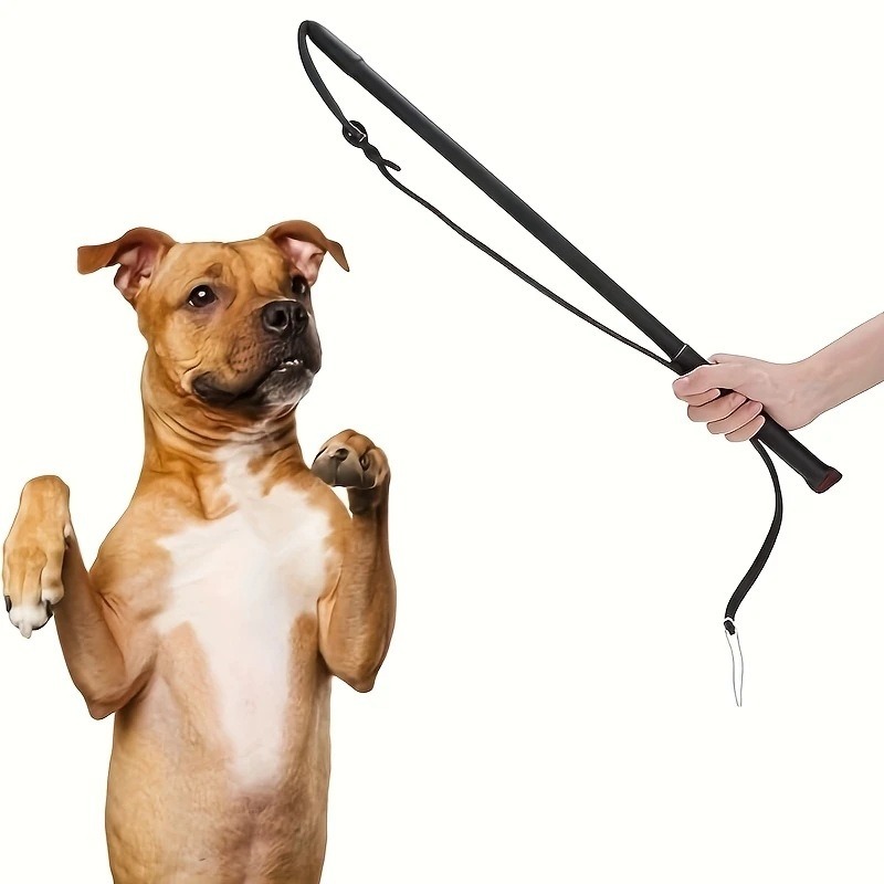 Dog Training Agitation Whip