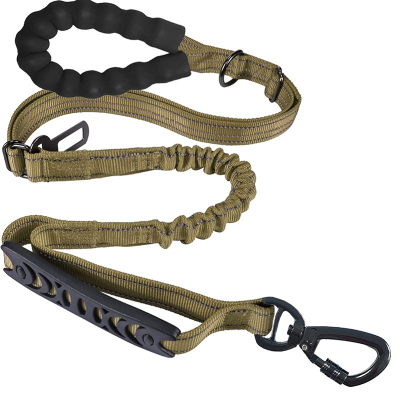 Elastic Shock-Absorbing Dog Leash