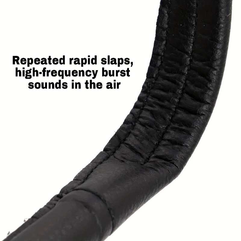 Dog Training Agitation Whip