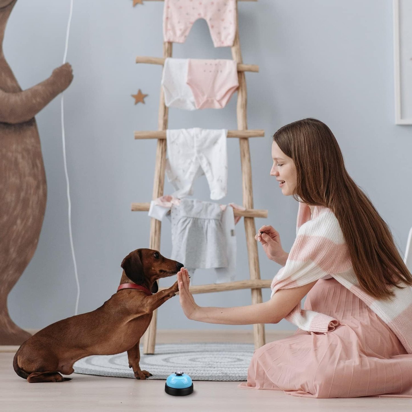 Pet Voice Recording Training Button