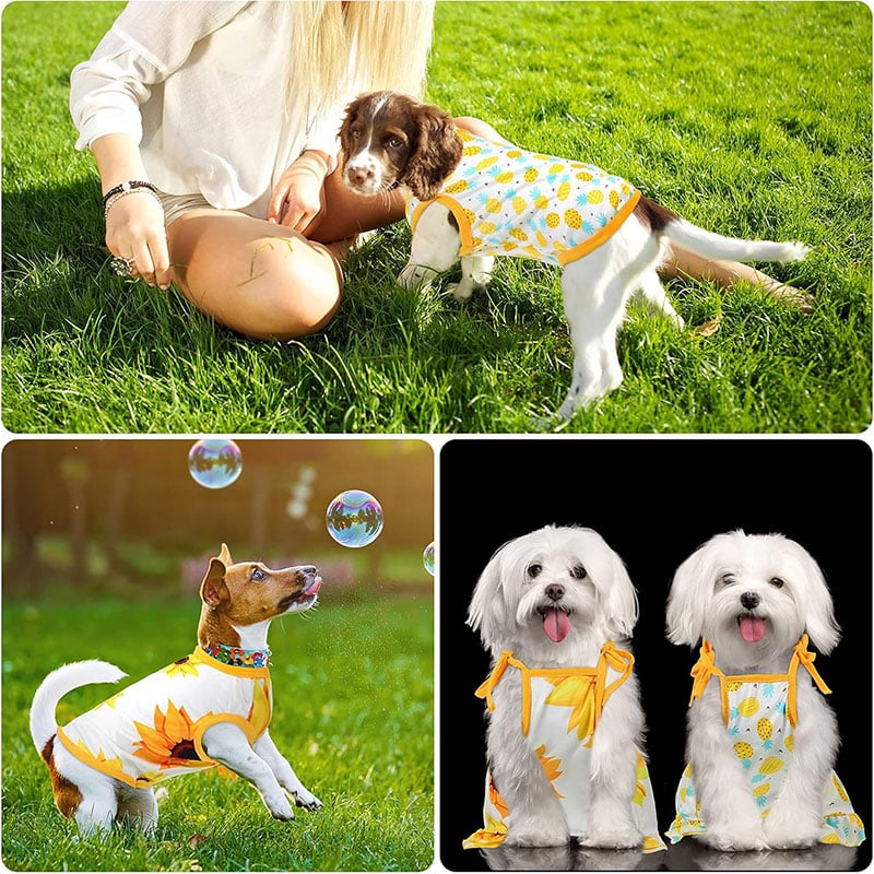Fruit and Sunflower Pet Suspender Dress Set
