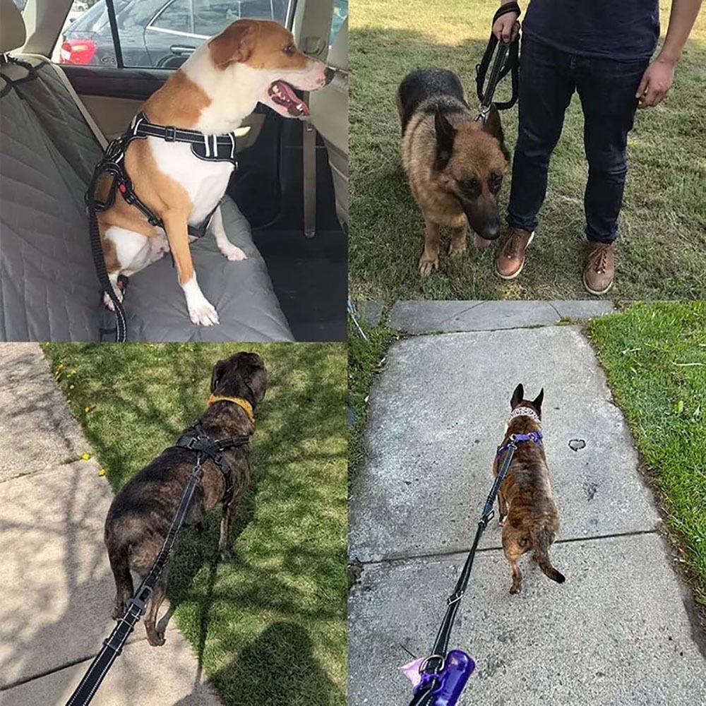 Elastic Shock-Absorbing Dog Leash