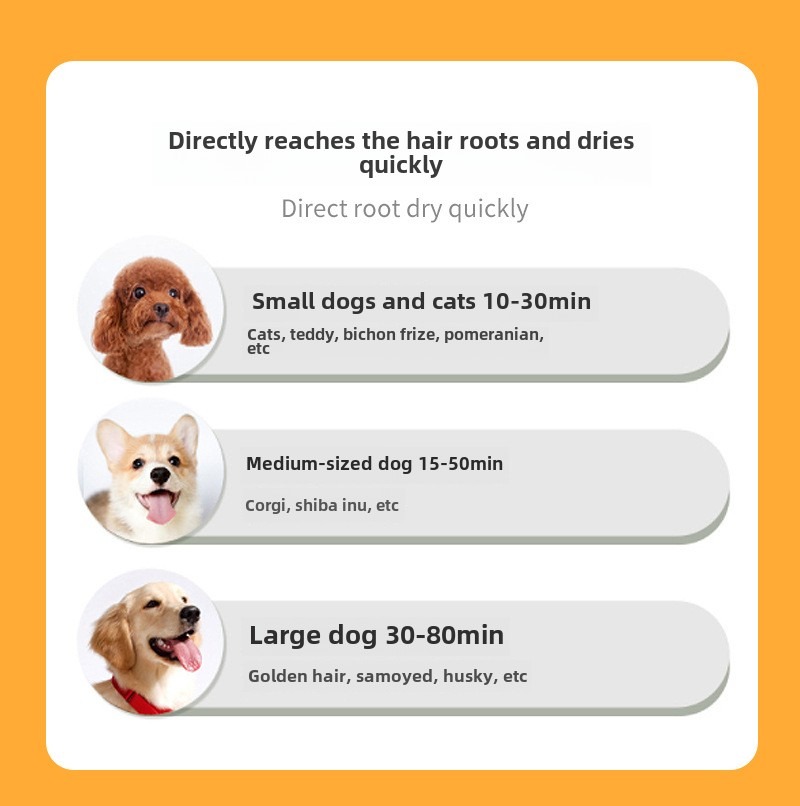 Pet Hair Dryer 2 in 1 Grooming Brush Portable