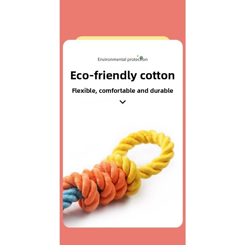 Colorful Woven Cotton Dog Leash