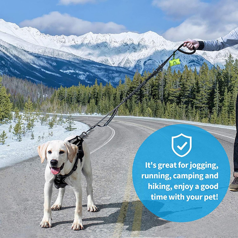 Elastic Shock-Absorbing Dog Leash