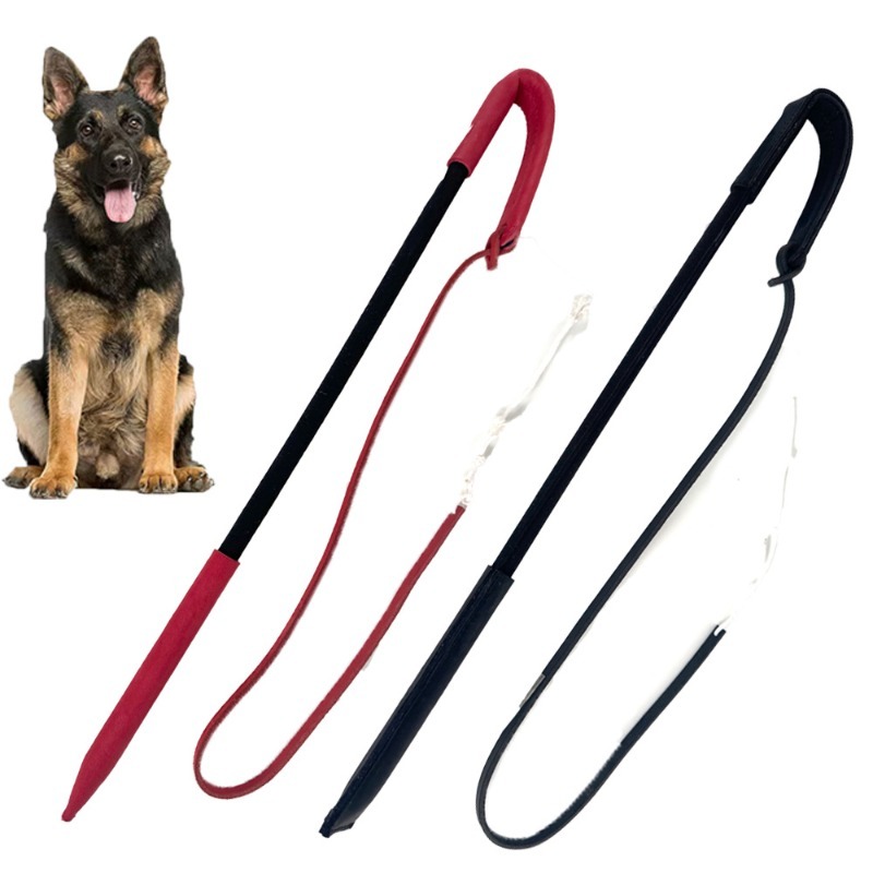 Dog Training Agitation Whip