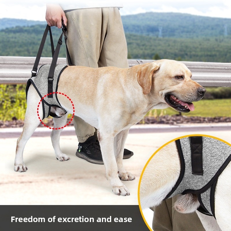 Dog Hind Leg Support Harness