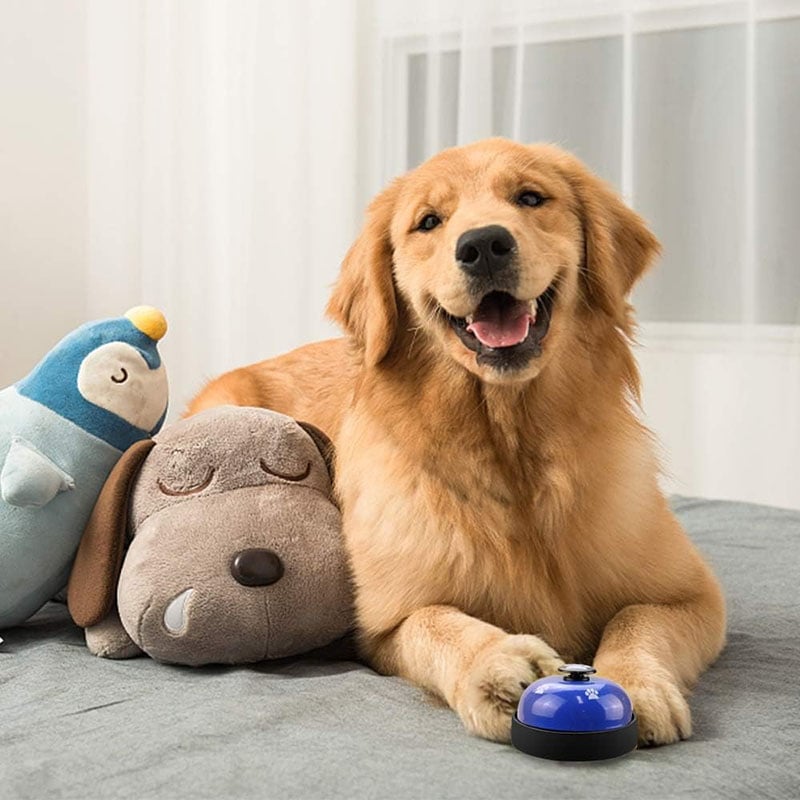 Pet Voice Recording Training Button