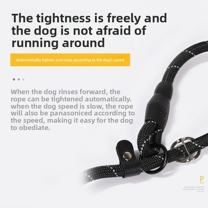 Reflective Dog Walking Leash
