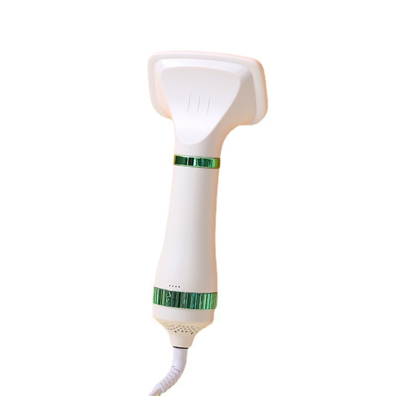 Pet Hair Dryer 2 in 1 Grooming Brush Portable