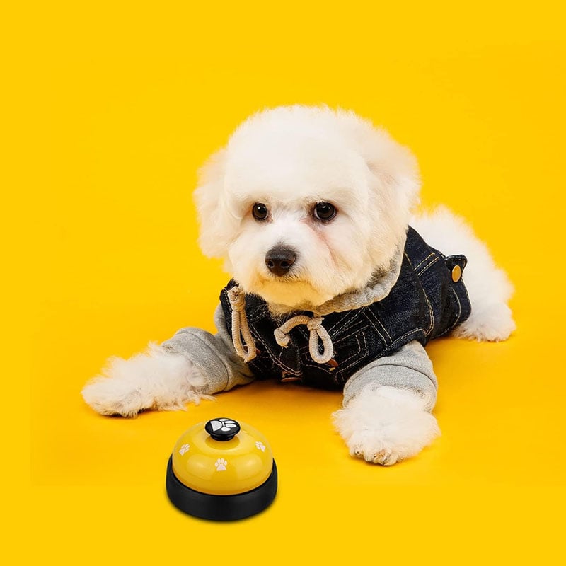 Pet Voice Recording Training Button