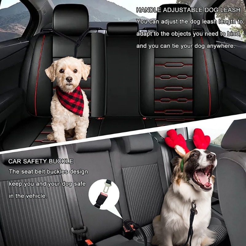 Elastic Shock-Absorbing Dog Leash