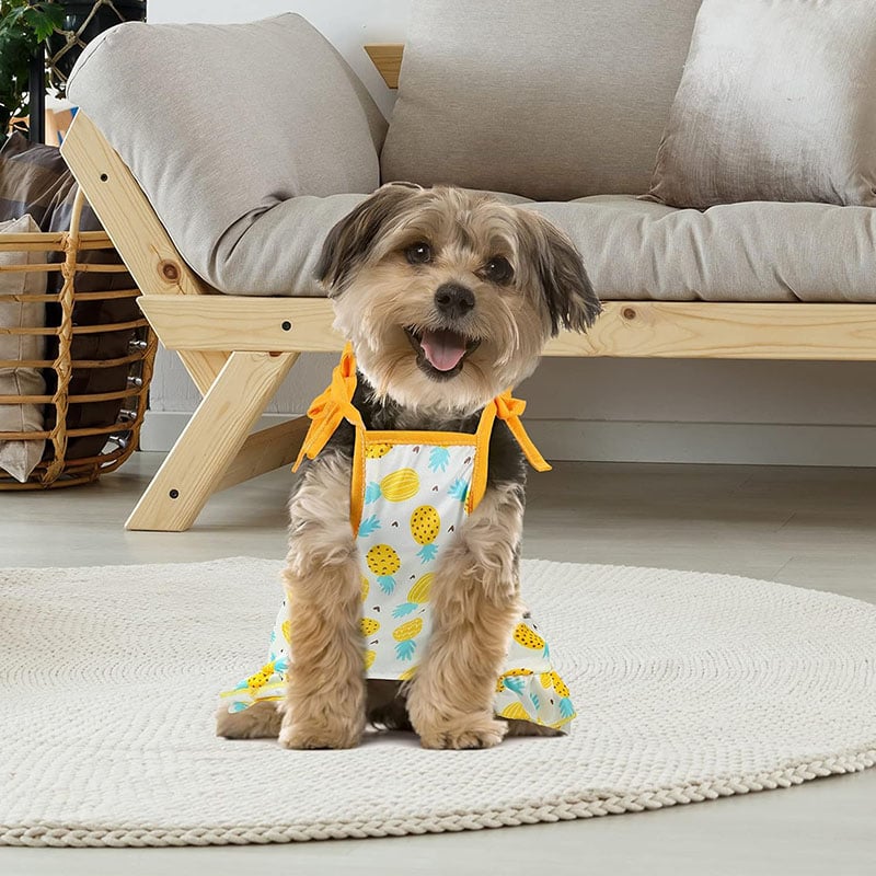 Fruit and Sunflower Pet Suspender Dress Set