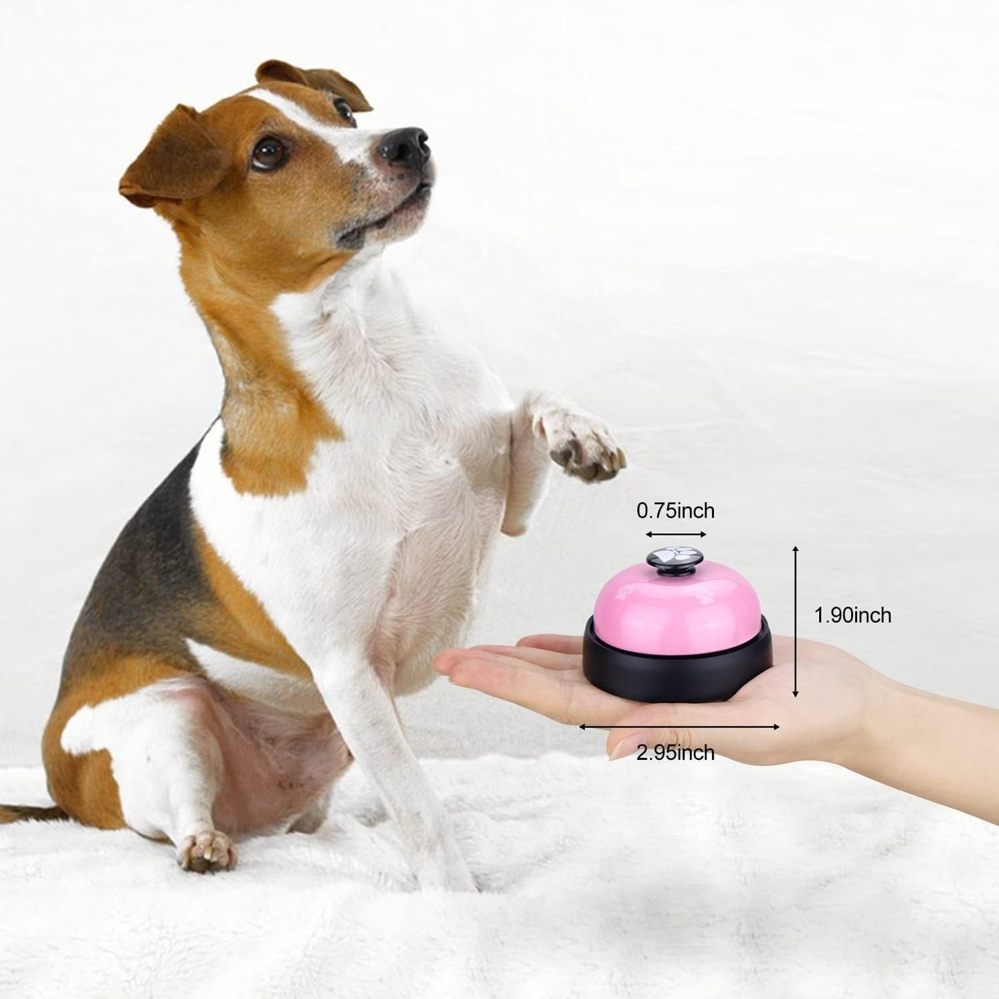 Pet Voice Recording Training Button
