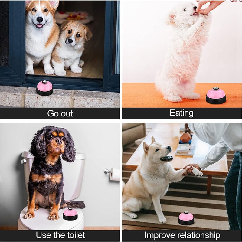 Pet Voice Recording Training Button