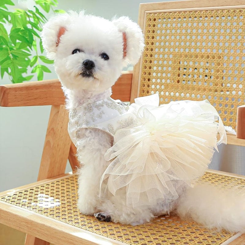Puffy Saree Princess Dog Dress