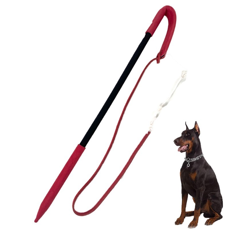Dog Training Agitation Whip