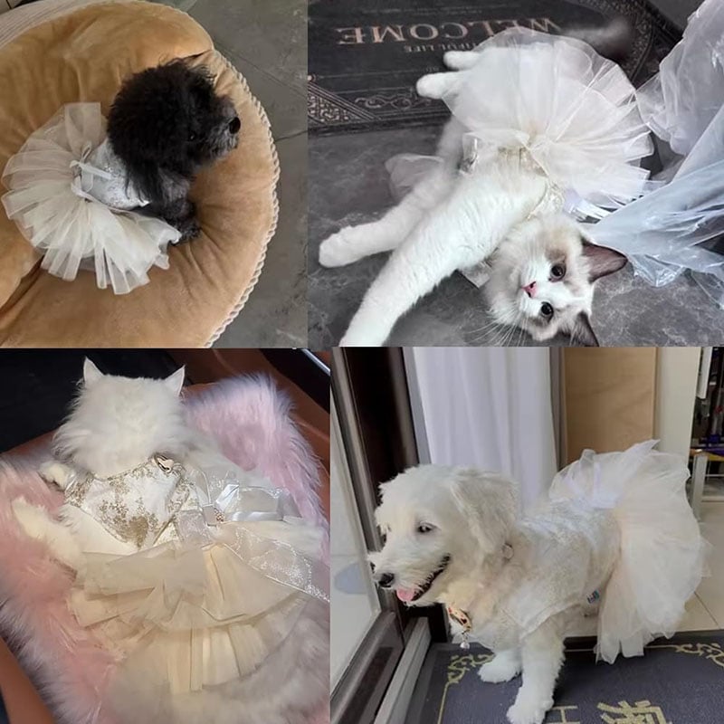 Puffy Saree Princess Dog Dress