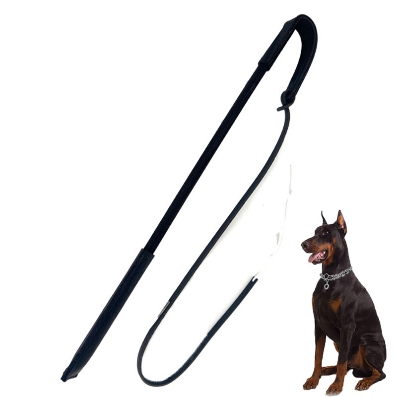 Dog Training Agitation Whip