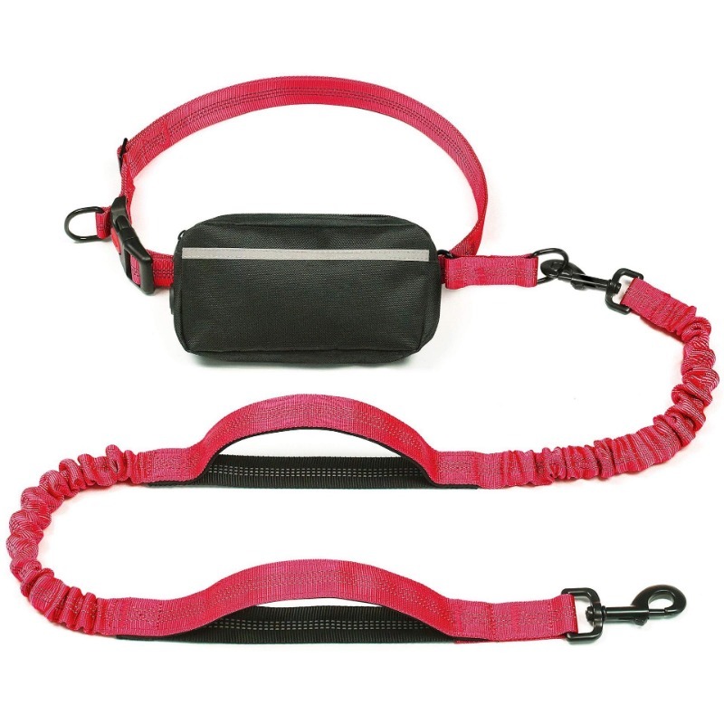 Nylon Hands-Free Dog Running Leash with Bell