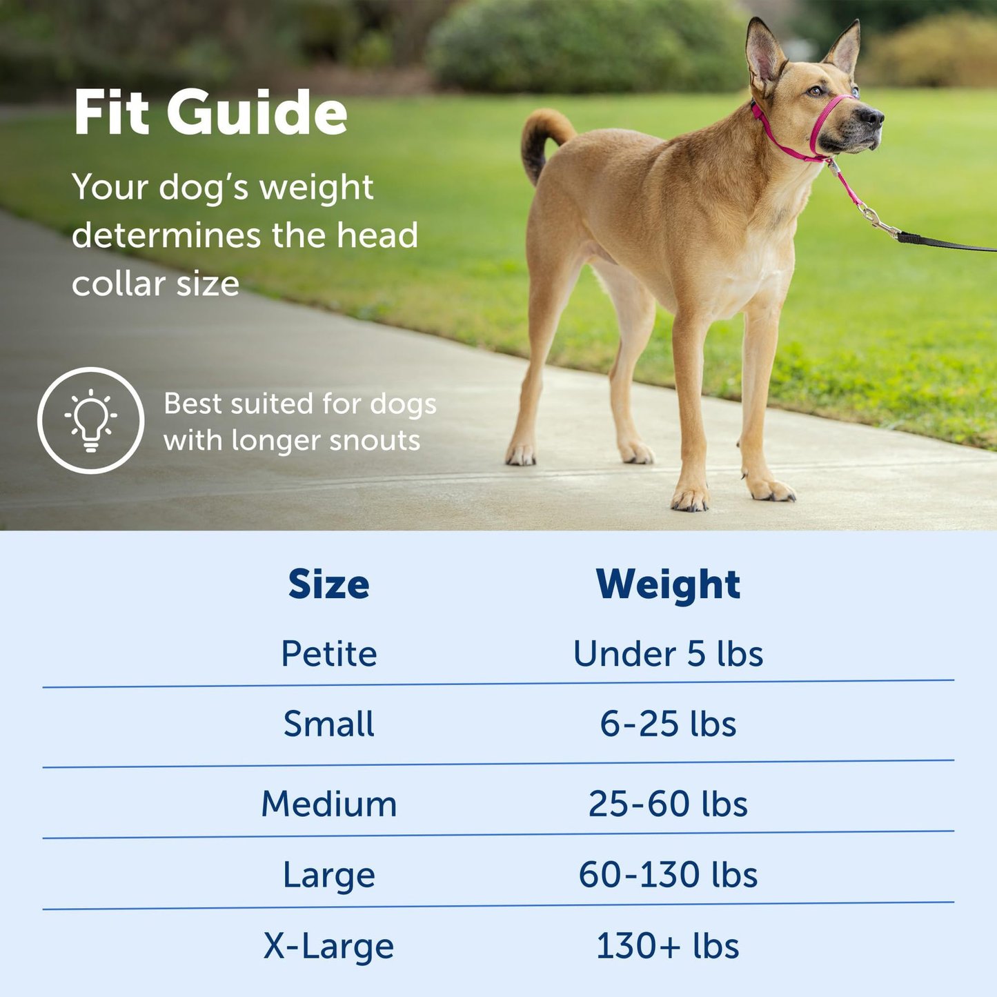 No-Pull Adjustable Dog Headcollar