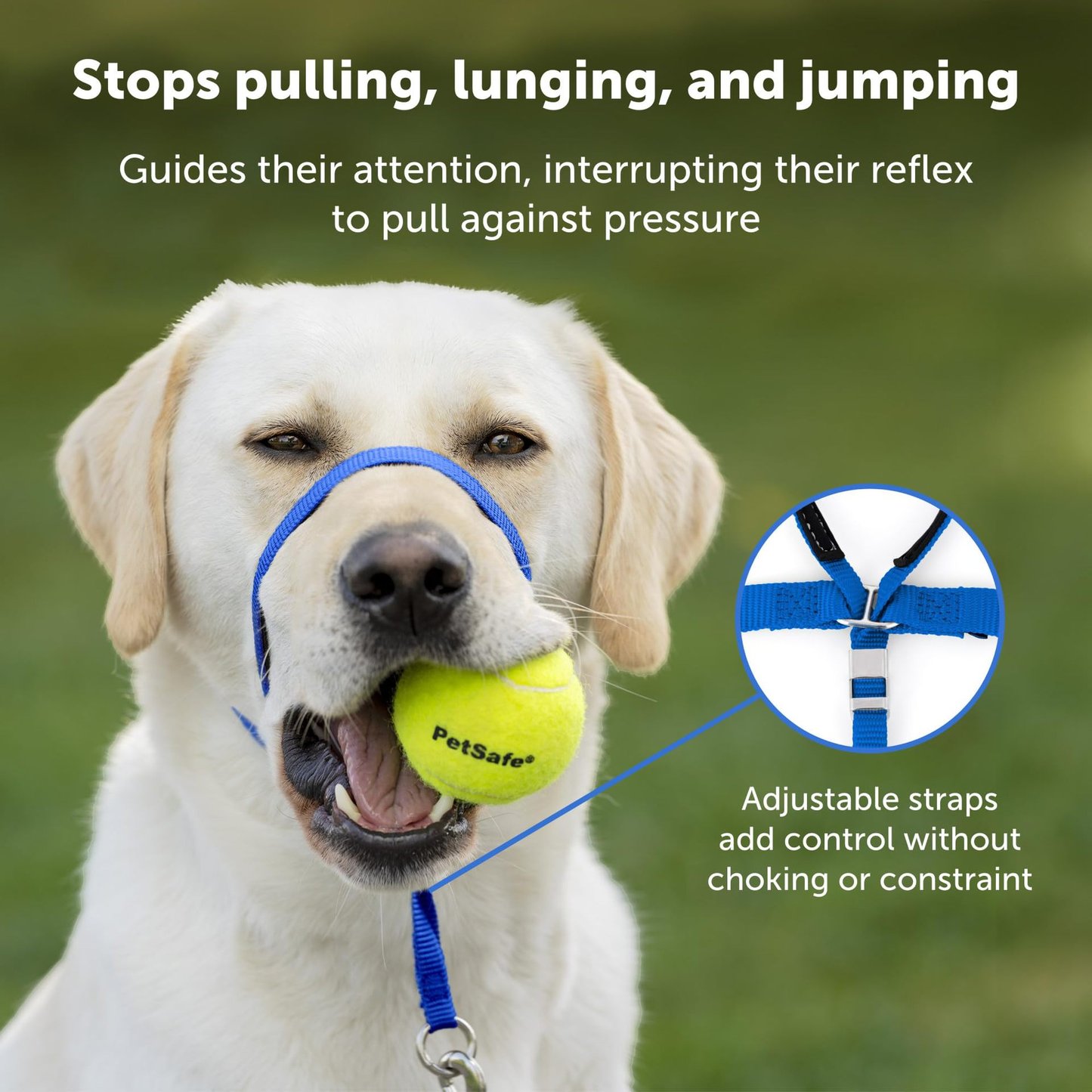 No-Pull Adjustable Dog Headcollar