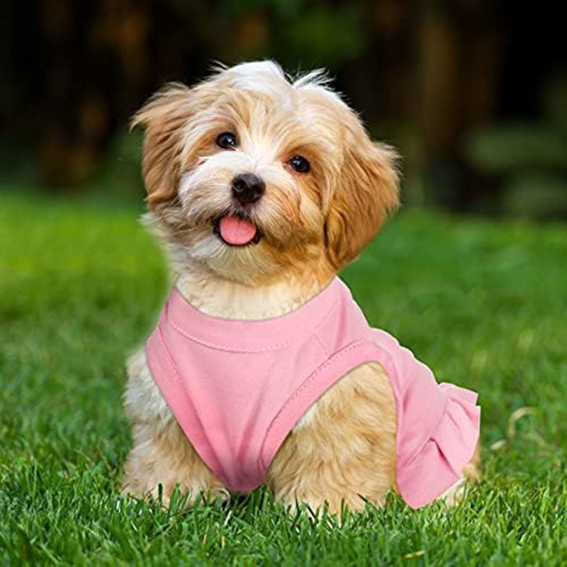 Lightweight Sleeveless Pet Dress