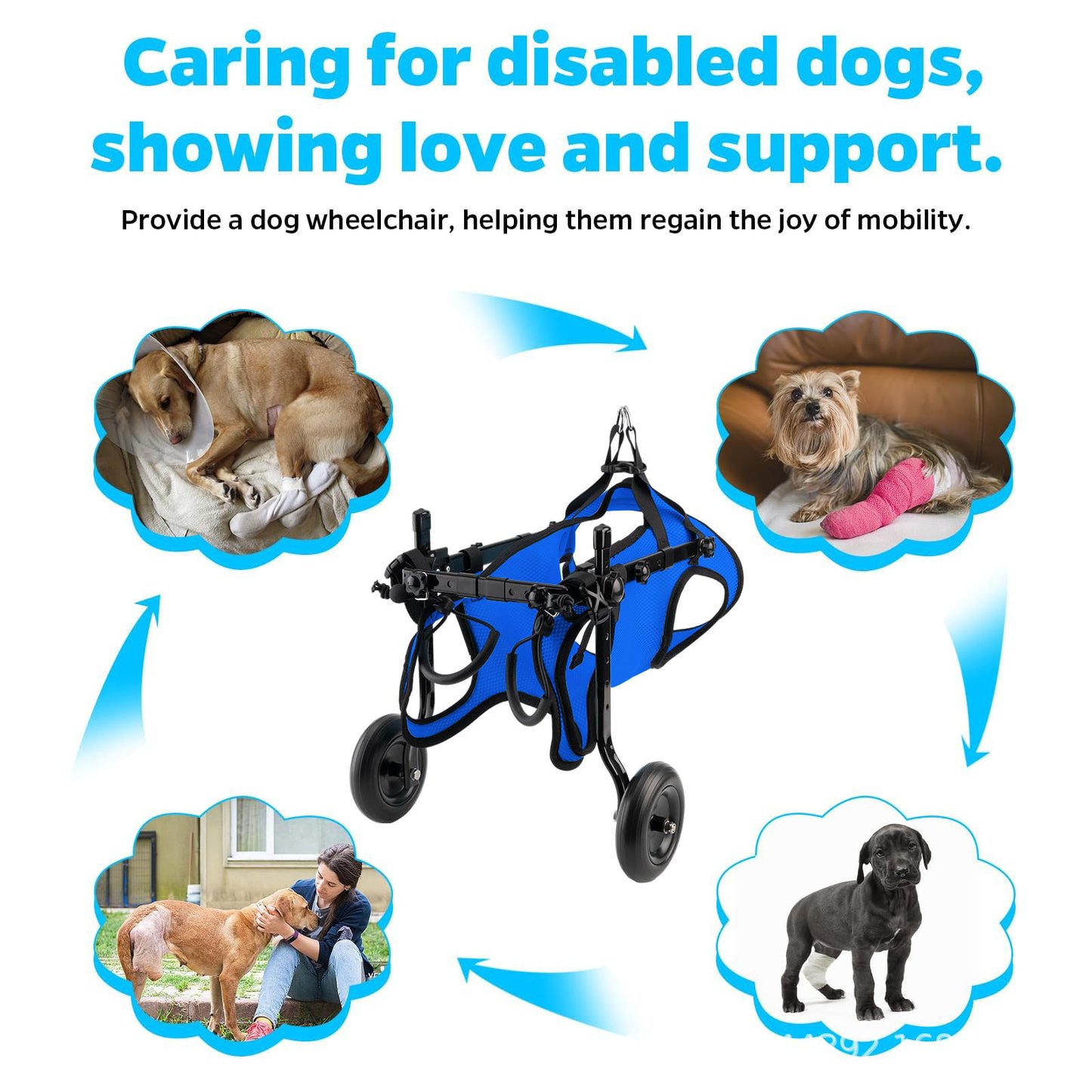 Pet Rehabilitation Scooter