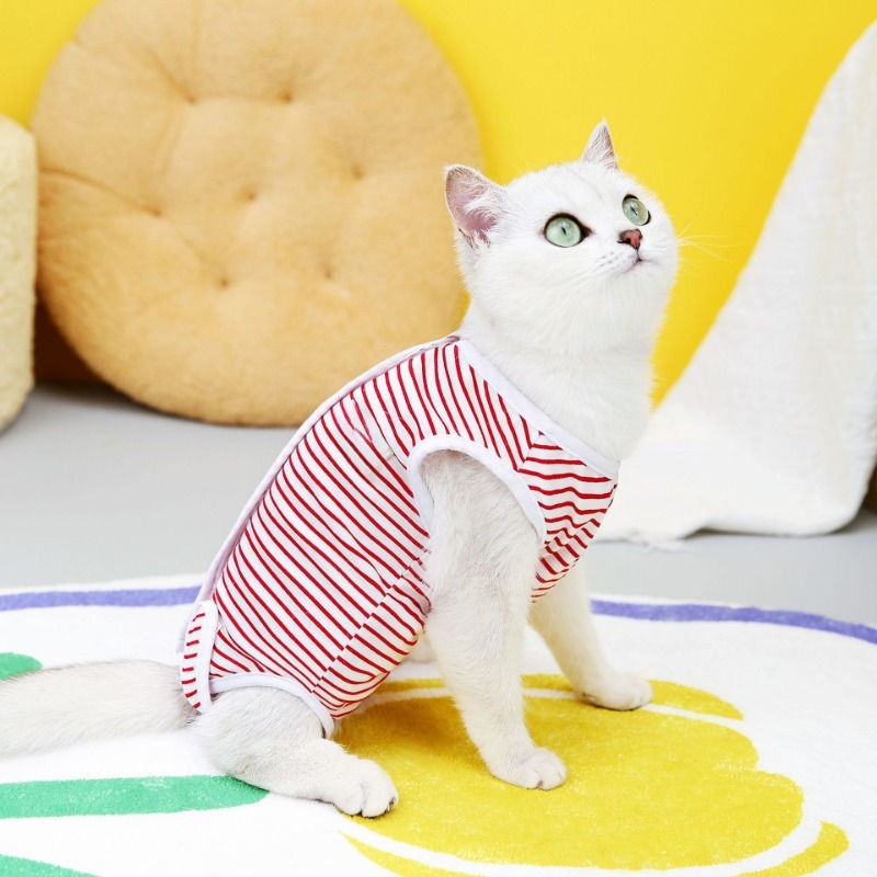 Post-Surgery Recovery Suit for Cats and Dogs