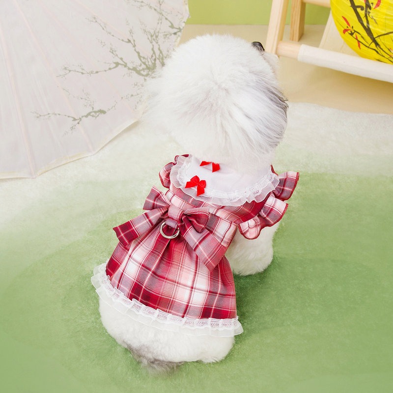Teddy Bear Style Campus Dress with Leash Hook