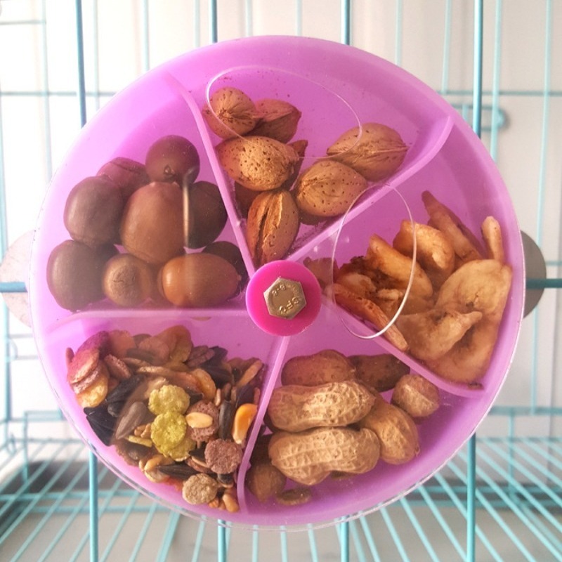 Rotatable Parrot Foraging Feeder Toy