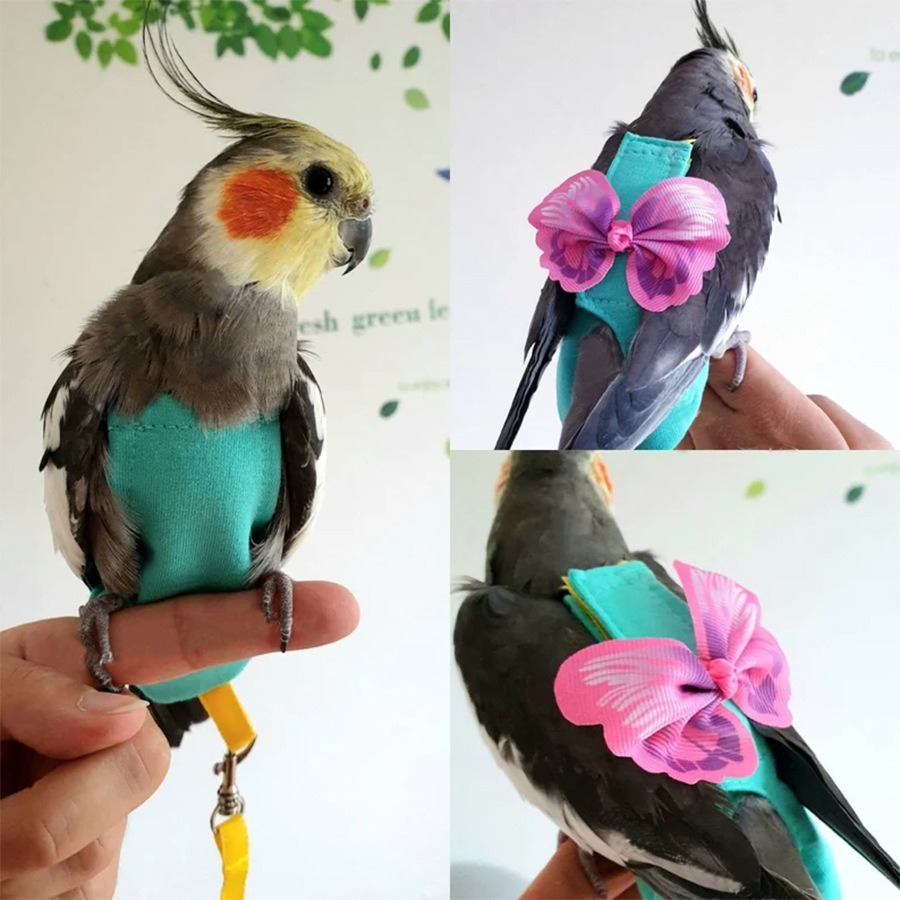 Parrot Vest with Butterfly Wing Design