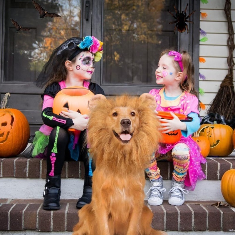 Lion Mane Cosplay Headgear for Halloween