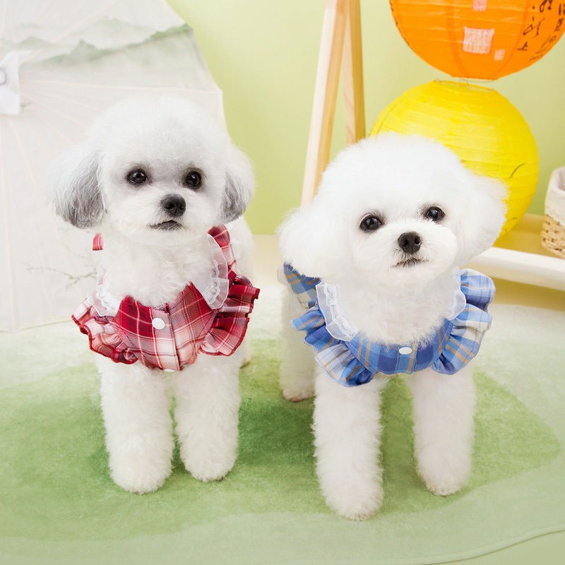 Campus Style Dress Skirt for Large Dogs