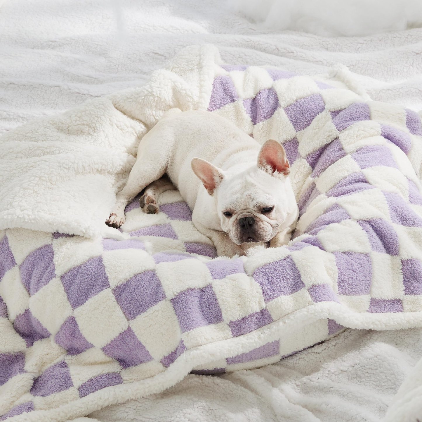 Sherpa Fleece Reversible Dog Blanket