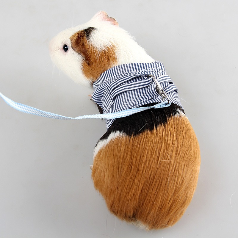 Small Pet Clothes Harness Leash Floral Summer Set