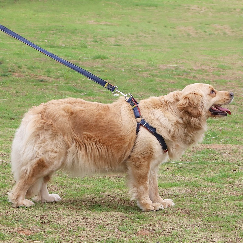 Dog Harness Leash Set Denim Breathable