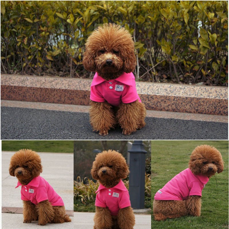 2025 Dog Polo Shirt Multicolor Soft