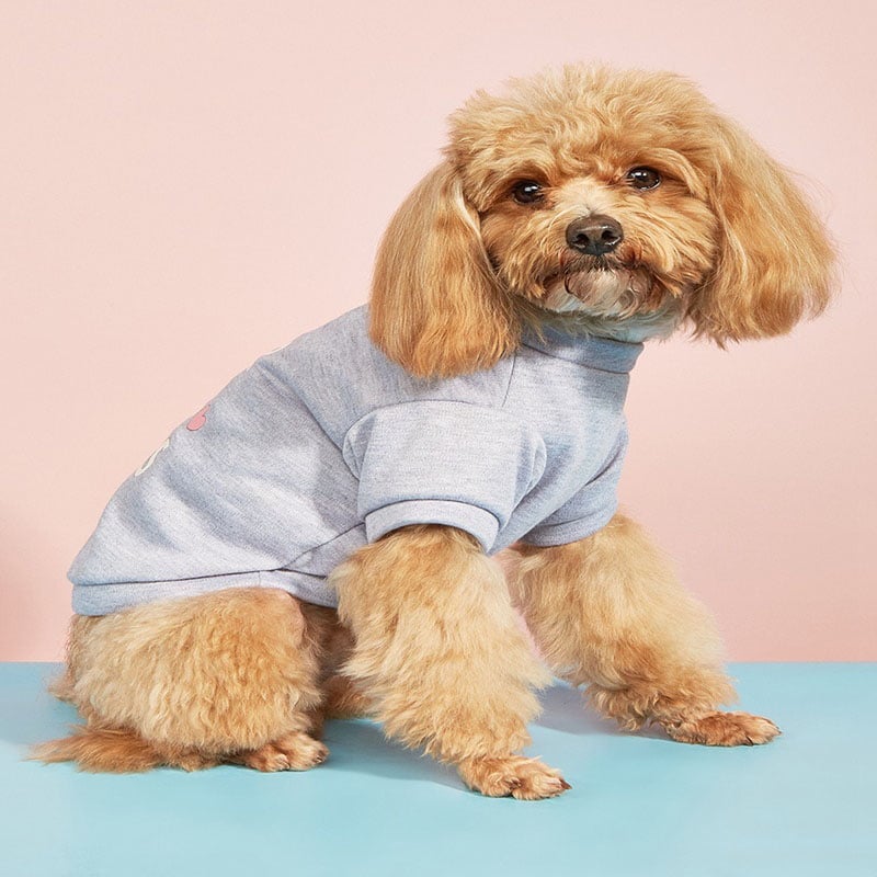 Cotton Dog Vest with English Print