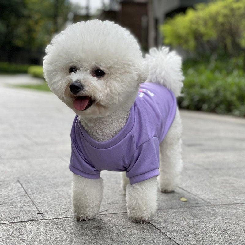 Cotton Dog Vest with English Print