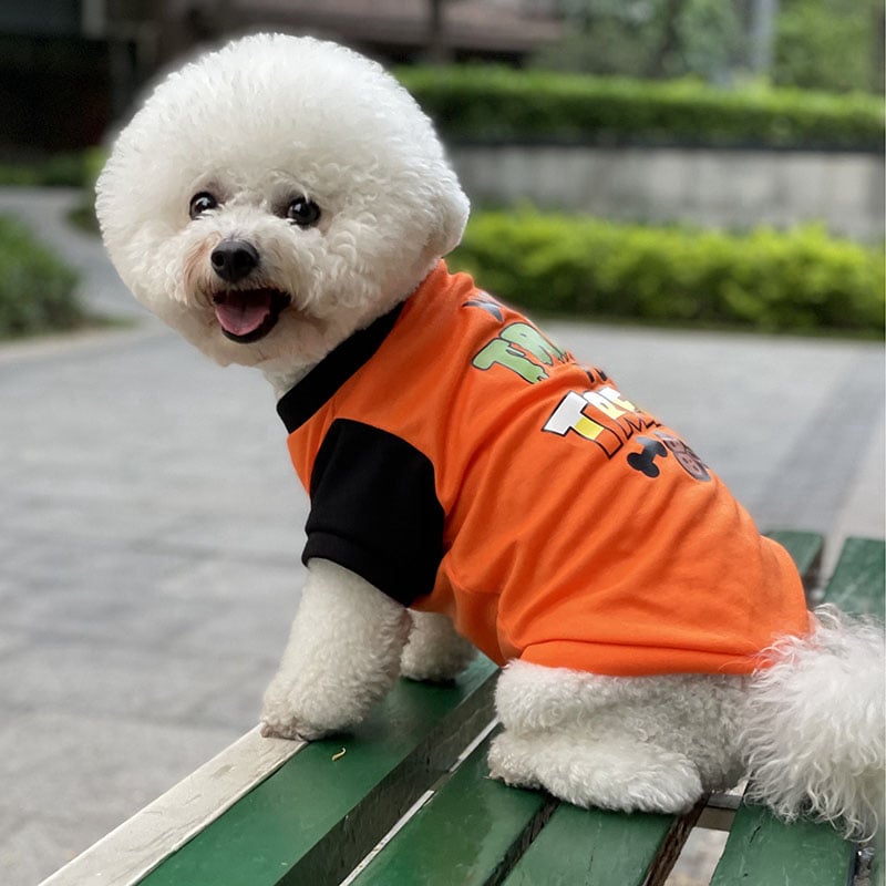 Cotton Dog Vest with English Print