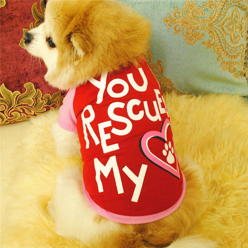 Summer Dog T-Shirt Cute Pet Clothes