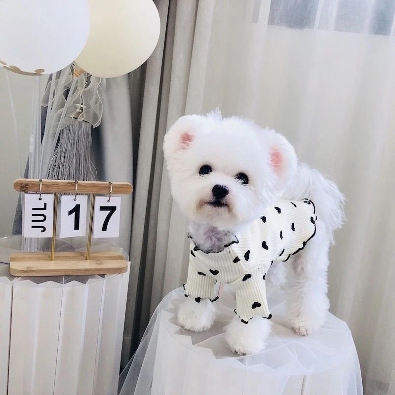 2025 Dog Pajamas Fleece Four-Leg Jumpsuit