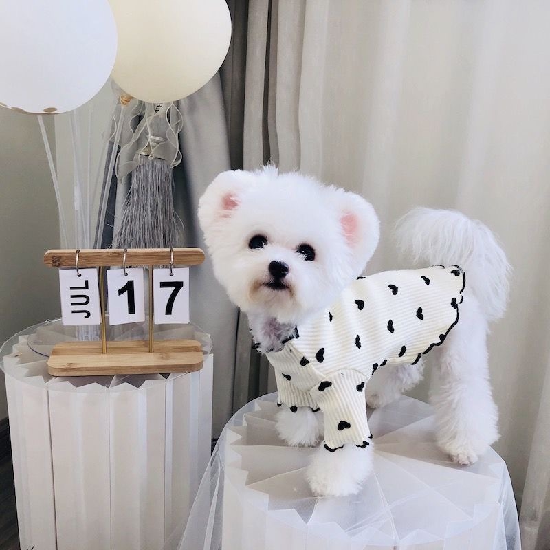 2025 Dog Pajamas Fleece Four-Leg Jumpsuit