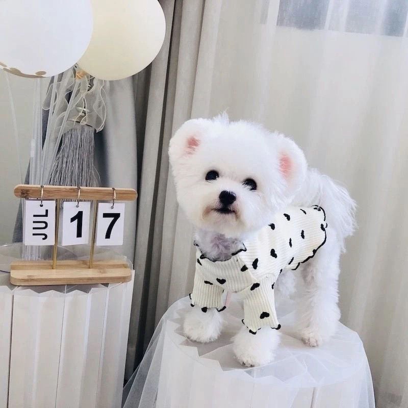 2025 Dog Pajamas Fleece Four-Leg Jumpsuit